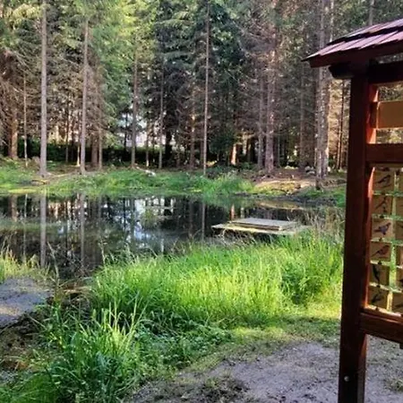 Mejto Harrachov