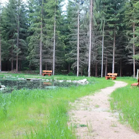 Mejto Harrachov