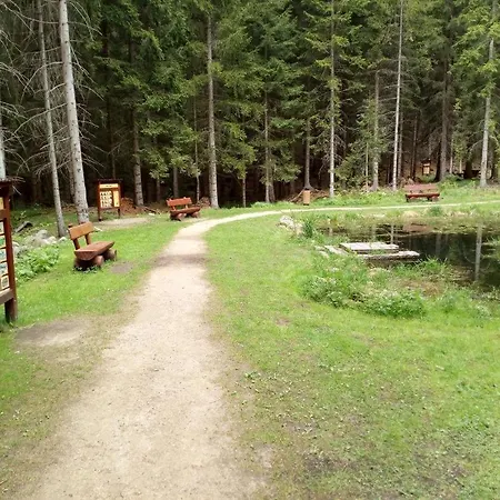MJT Úsporné Ubytování Harrachov Lodge *